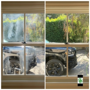 Photo of Crocodile Window Cleaning & Pressure Washing