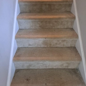 Photo of Hot Spot Cleaning