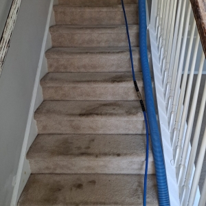 Photo of Hot Spot Cleaning