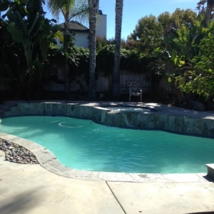 Photo of Suburban Tropics
