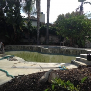 Photo of Suburban Tropics