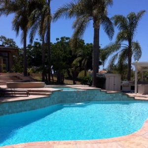Photo of Suburban Tropics