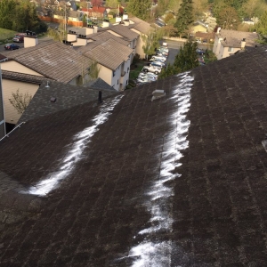 Photo of Roof Service Repair