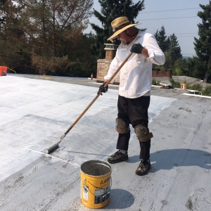 Photo of Roof Service Repair