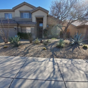 Phoenix Daniel Landscaping