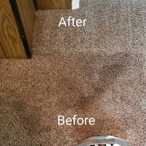 Photo of Southern Carpet Cleaning and Pressure Washing
