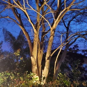 Photo of Be The Light Outdoor Lighting