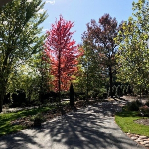 Palos Park Lepore Landscaping