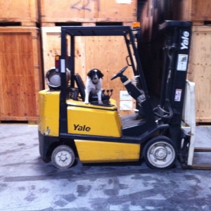 Photo of Gator Moving & Storage