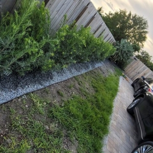 Photo of Conde Landscaping