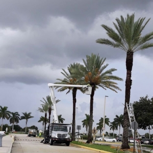 Photo of Conde Landscaping