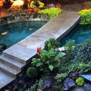 Photo of Blue Lagoon Enterprises