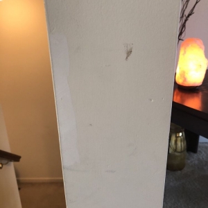 Photo of My Labor & Moving
