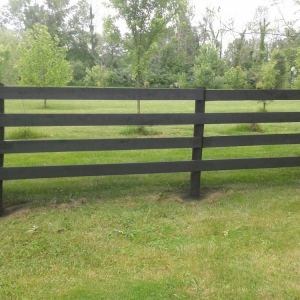 London Freeman & Sons Fence
