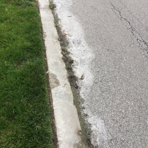 Photo of Pressure Washing Kings