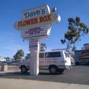 Photo of Dave's Flower Box
