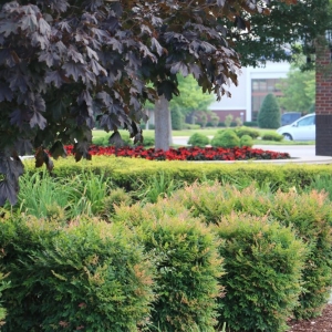 Photo of Landscapes USA