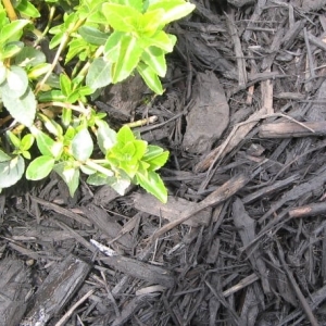 Photo of Asphalt Materials