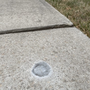 Photo of Foundation 1