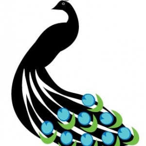 San Jose Peacock Pool Services