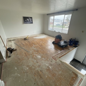 Photo of All Floors & Interiors