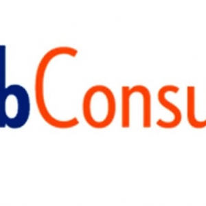 Indianapolis Naab Consulting