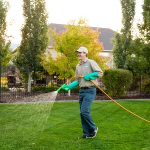 Photo of Stewart's Lawn Care and Pest Control