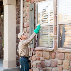 Photo of Stewart's Lawn Care and Pest Control