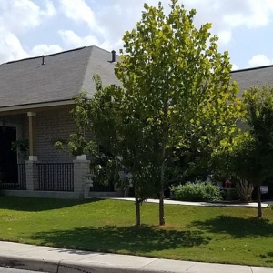 Photo of SoTex Exteriors: Roofing & Remodeling