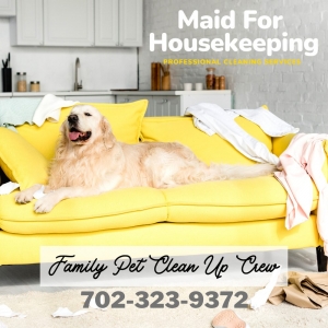 Photo of Maid for Housekeeping