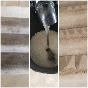 Photo of Petersens Carpet Care