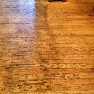 Photo of Hardwood Floor Restore