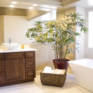 Photo of Vivify Interiors & Design