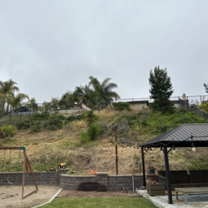 Photo of Ace Landscaping