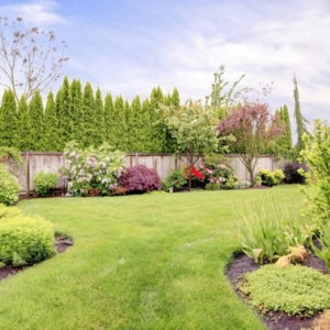 Photo of Ace Landscaping