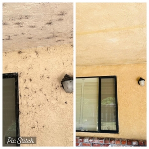 Photo of KFS & Co Pressure Washing