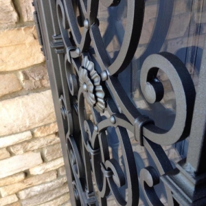 Photo of Action Security Iron