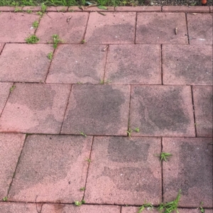 Photo of TJ's Power Washing