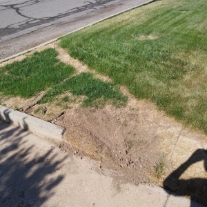 Photo of Bytendorp Enterprises Landscaping