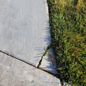 Photo of Bytendorp Enterprises Landscaping