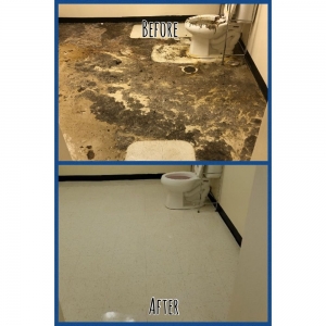 Photo of Scipio's Commercial Cleaning