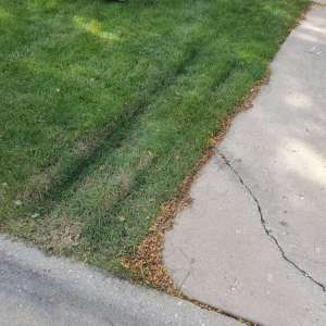 Photo of Dns Exterior