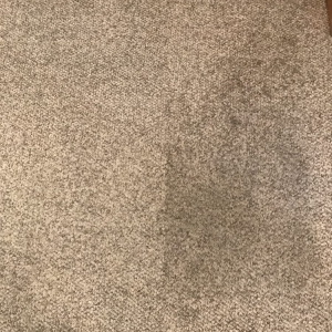 Photo of Spots Gone Carpet Cleaning & Restoration