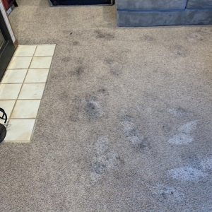 Photo of Spots Gone Carpet Cleaning & Restoration