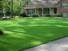 Photo of Fixtures Lawn and Landscape