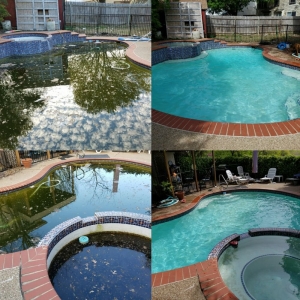 Photo of Blue Line Pools