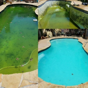 Photo of Blue Line Pools