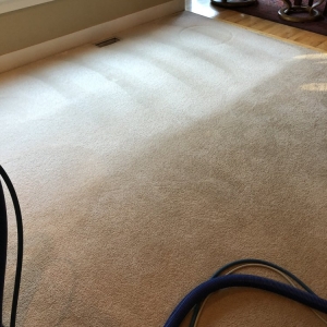 Photo of Simple Steam