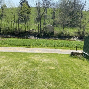 Photo of Buckeye Pet Services Group
