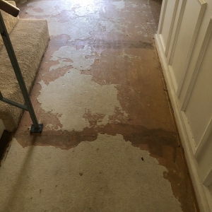 Photo of 50 Floor